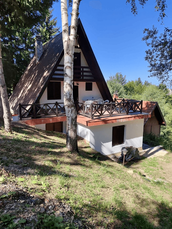 Kuca sa 3 apartmana Kopaonik