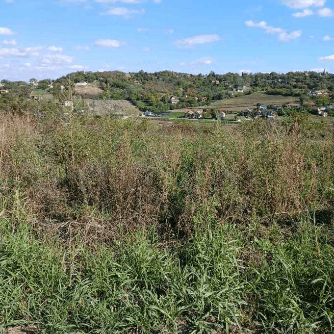 Odlican plac na potezu Petrovaradina