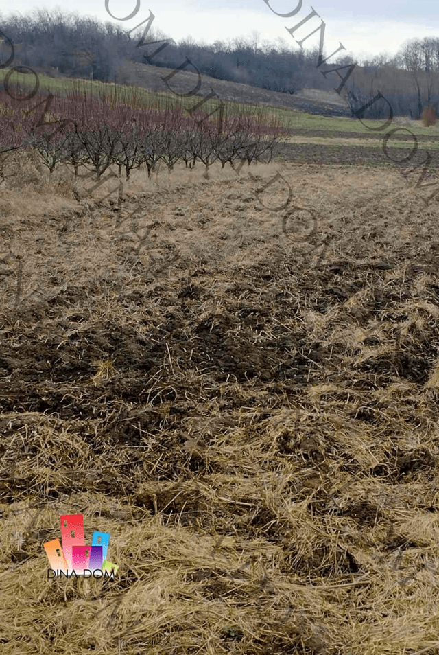 Lep i ravan plac na Smederevskom putu u Vlaškom dolu