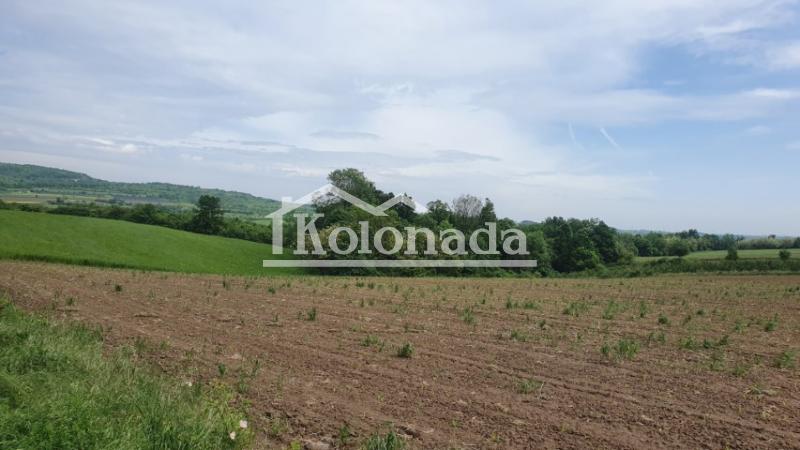 Poljoprivredno zemljište u Rogači, Kosmaj, Sopot ID#3823