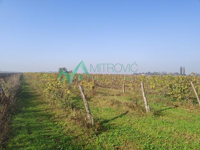 Plac,TEMERIN,TEMERIN,kv: 43249.00, € 450000, ID: 7000023