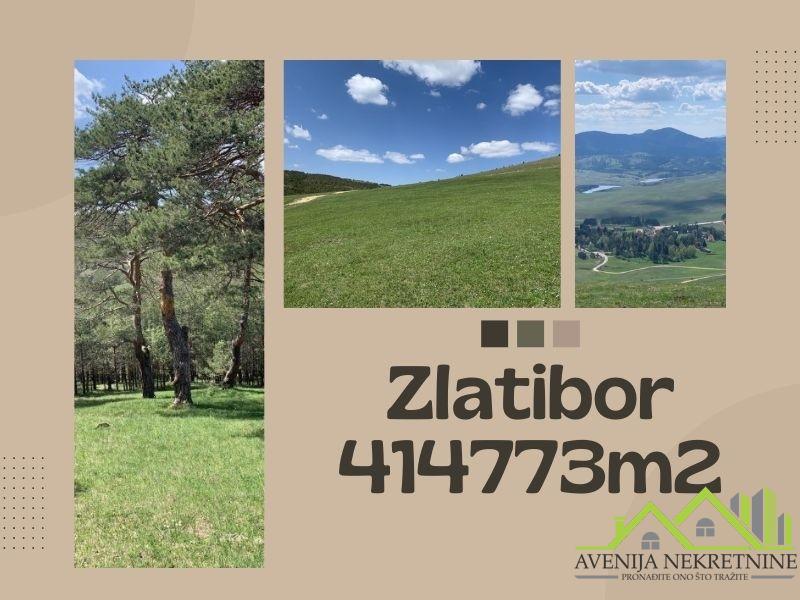 Zlatibor - Čigota - 41,4 ha
