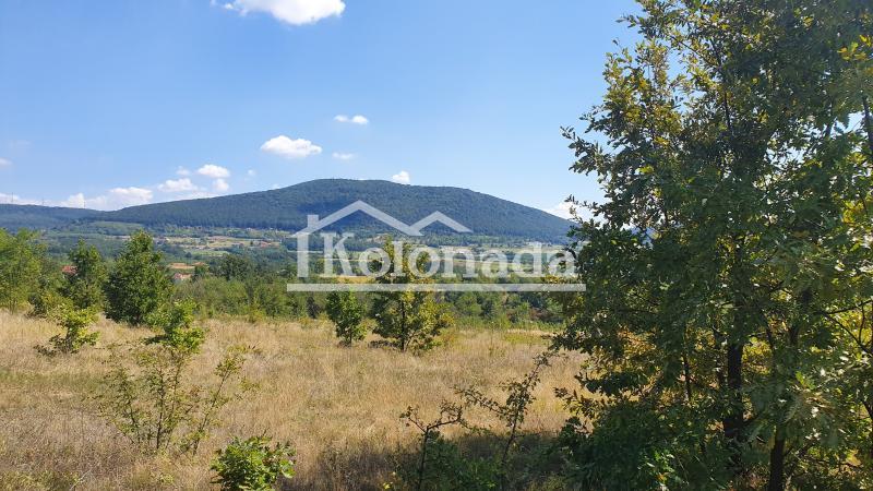 Građevinsko zemljište u Rogači, Kosmaj, Sopot ID#10921
