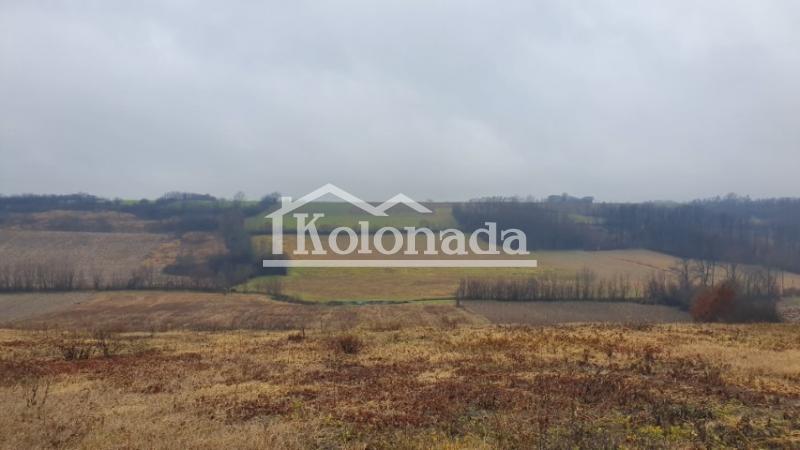 Poljoprivreno zemljiste u površini od 4 ha u Rogači, Sopot, Kosmaj ID#323
